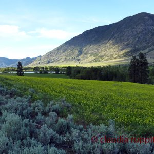 Similkameen Valley (BC, Canada)