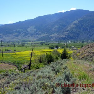Blind Creek Indian Reserve (BC, Canada)