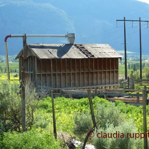 Blind Creek Indian Reserve (BC, Canada)