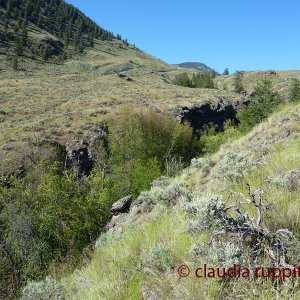 Blind Creek Canyon  (BC, Canada)