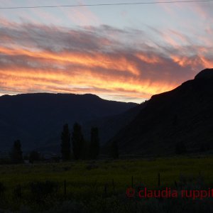 Abendstimmung im Blind Creek Indian Reserve (BC, Canada)