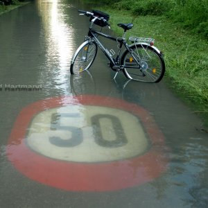 Wasser in der Au