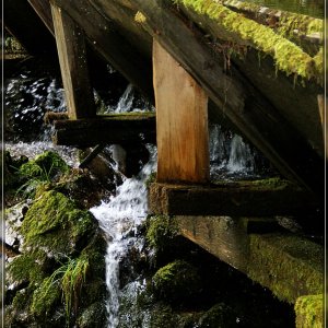 Holztriftanlage Mendlinbach