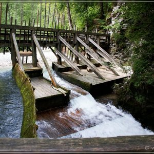 Holzdtriftanlage Mendlinbach