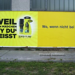 Dialog zweier Plakate in Wien