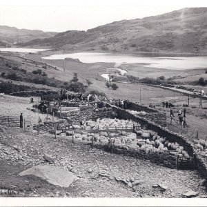 Viehmarkt in Wales 1954