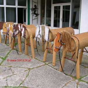 Ampflwang - Pferde