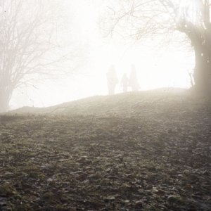 Spaziergang im Nebel