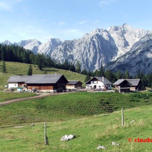 Walderalm, Gnadenwald