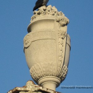 Vase im Augarten