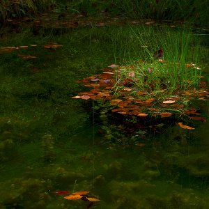 Herbst