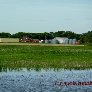Farmen in Saskatchewan, Kanada