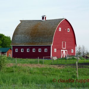Farmen in Saskatchewan, Kanada