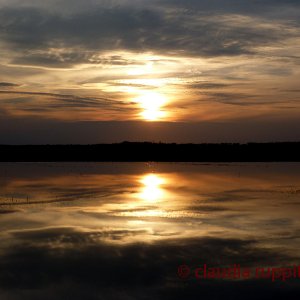 Sonnenuntergang in Saskatchewan, Kanada