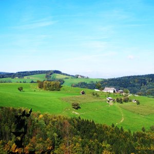 Almen im Wienerwald