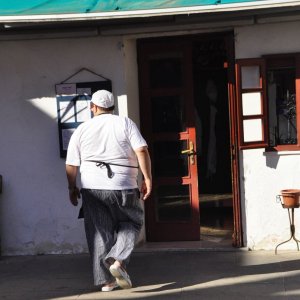 Koch in einer Osteria in Caorle