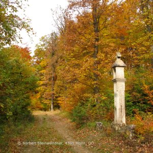 Weisses Kreuz an der "Via Sacra"