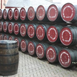 bushmills