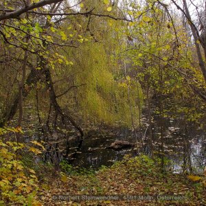 Stille ... Allerheiligen