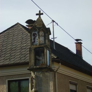 Pestsäule / Haslach a.d. Mühl