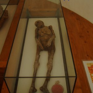 Mumien von Venzone