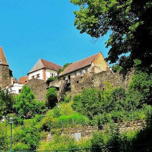 Stadtmauer mit Anton-Turm in Zwettl