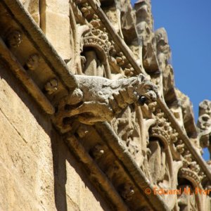 Wasserspeier Andalusien