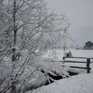 Reiz der "benebelten" Landschaft