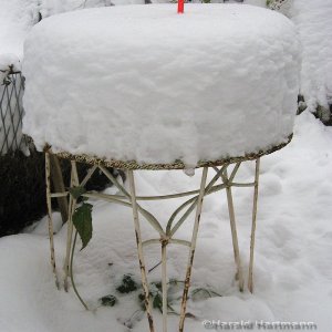 Schneehaube