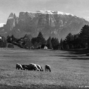 Schlern 1936