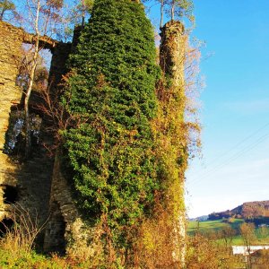 Ruine Niederperwarth