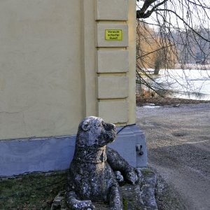 Schloss Wasserburg - Wachhund