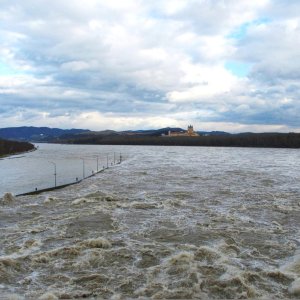 Hochwasserführende Donau