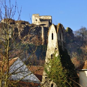 Rehberg (Stadtgemeinde Krems a.d. Donau)