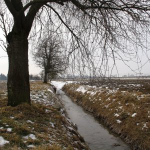 Schneespuren