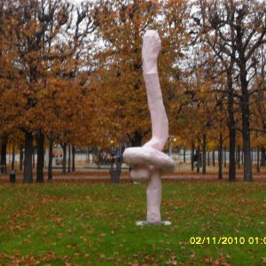 Wusten im Ring Franz West
