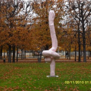 Wusten im Ring Franz West