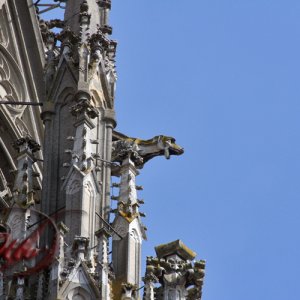 Wasserspeier am Dom von Regensburg