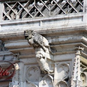 Medium 'Wasserspeier am Dom von Regensburg' in der Kategorie 'Wasserspeier'