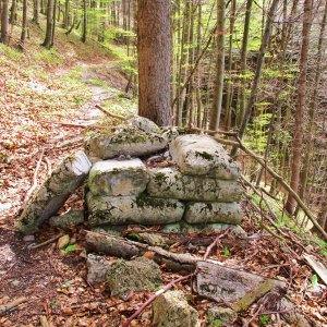 Versteinerungen