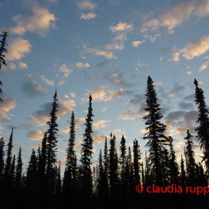 Abendstimmung im Yukon, Canada