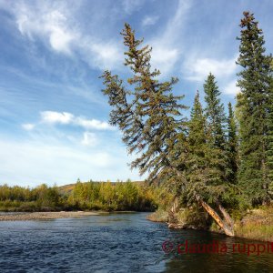 Klondike River, Canada