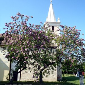 Hidegseg Andreaskirche 1/4