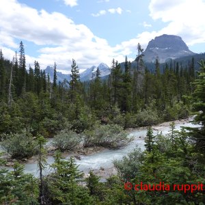 Yoho Nationalpark, British Columbia, Canada