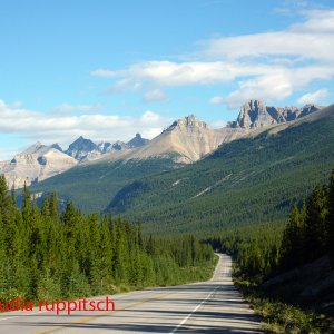 Icefields Parkway, Banff Nationalpark, Canada