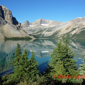 Bow Lake, Banff Nationalpark, Alberta, Canada