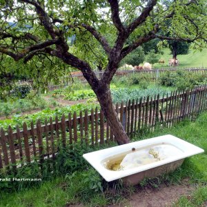 Bauerngarten Guttaring