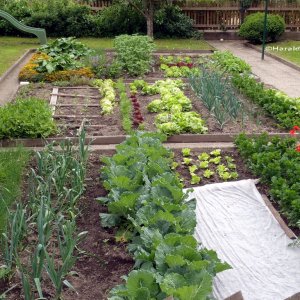 Bauerngarten Althofen