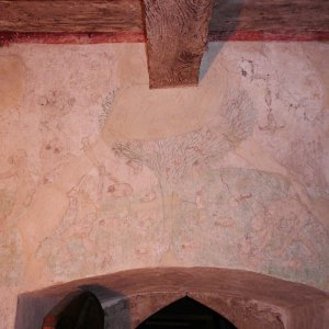 Phallusbaum / Liebesbaum Schloss Moos
