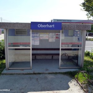 Medium 'Oberhart, Haltestelle' in der Kategorie 'Almtalbahn Wels – Sattledt – Grünau'